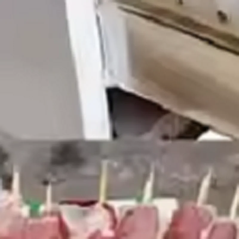 Pneumatic Kebab Skewer Machine Automatic Lamb Meat Skewer Machine Skewer Threading Machine