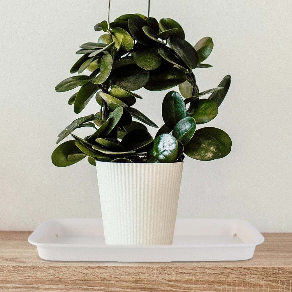 

Flower Pot Saucers Water Tray Plastic Plant Trays Round Shape Catch Excess Drainage Keeps Clean Practical Garden