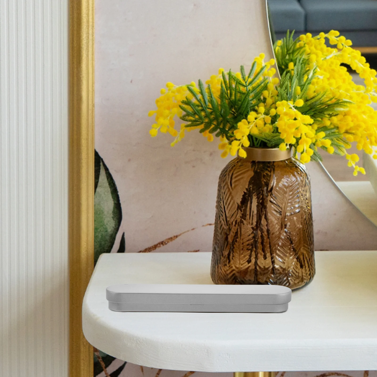 Tongue Scraper Storage Box Metal Pen Case Multi Functional Lash Tweezer Organizer Daily Holder Vanity Accessories Crayon Tin