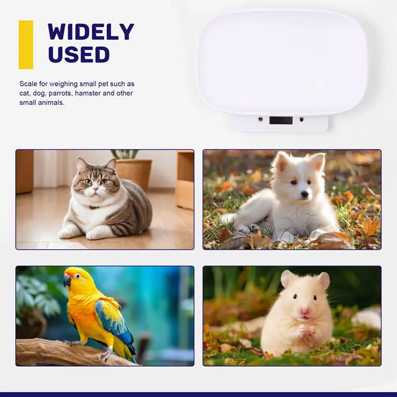 ABJA-balance numérique balance électronique pour animaux de compagnie Mini grammes de précision Balance de poids pour mesurer chiot haute précision