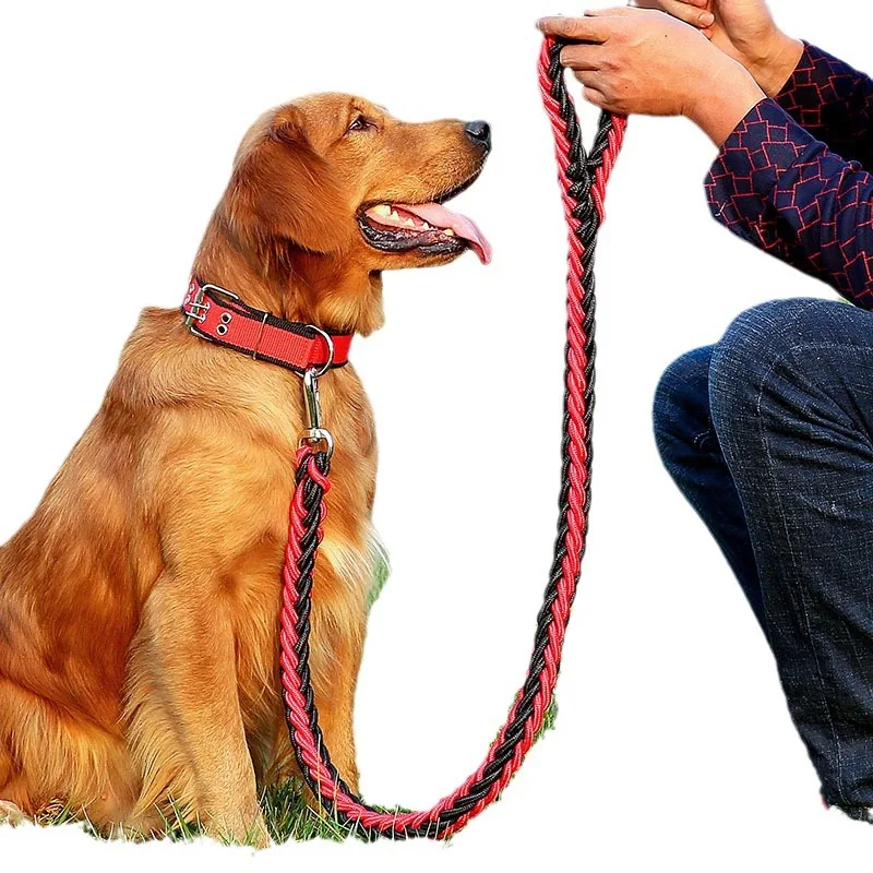 130cm/51.2in Durable 8-strand Braided Nylon Dog Leash Adjustable Collar Combo for Large Breed Dogs Training Walking