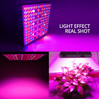 2018 new and hot 35W 65W Reflector Cup Full Spectrum led grow lights for grow tent box/indoor greenhouse/Commercial hydro plant