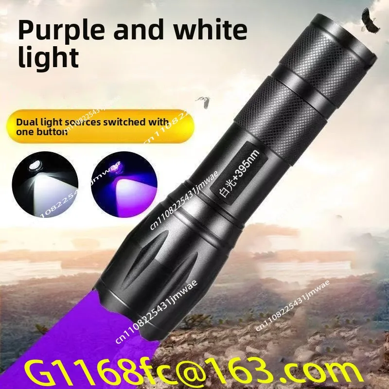 Dual Light Source Charging White Light Purple Light 395UV Flashlight