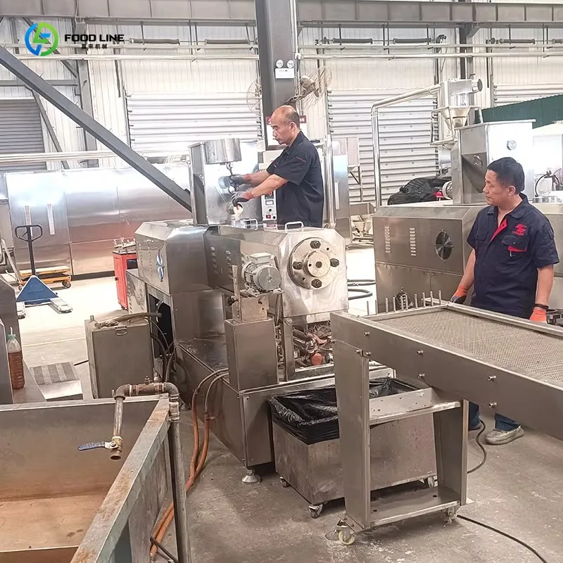 Customized High Efficiency Twin Screw Extruder Snack Production Equipment Corn Puffed Snack Extruder