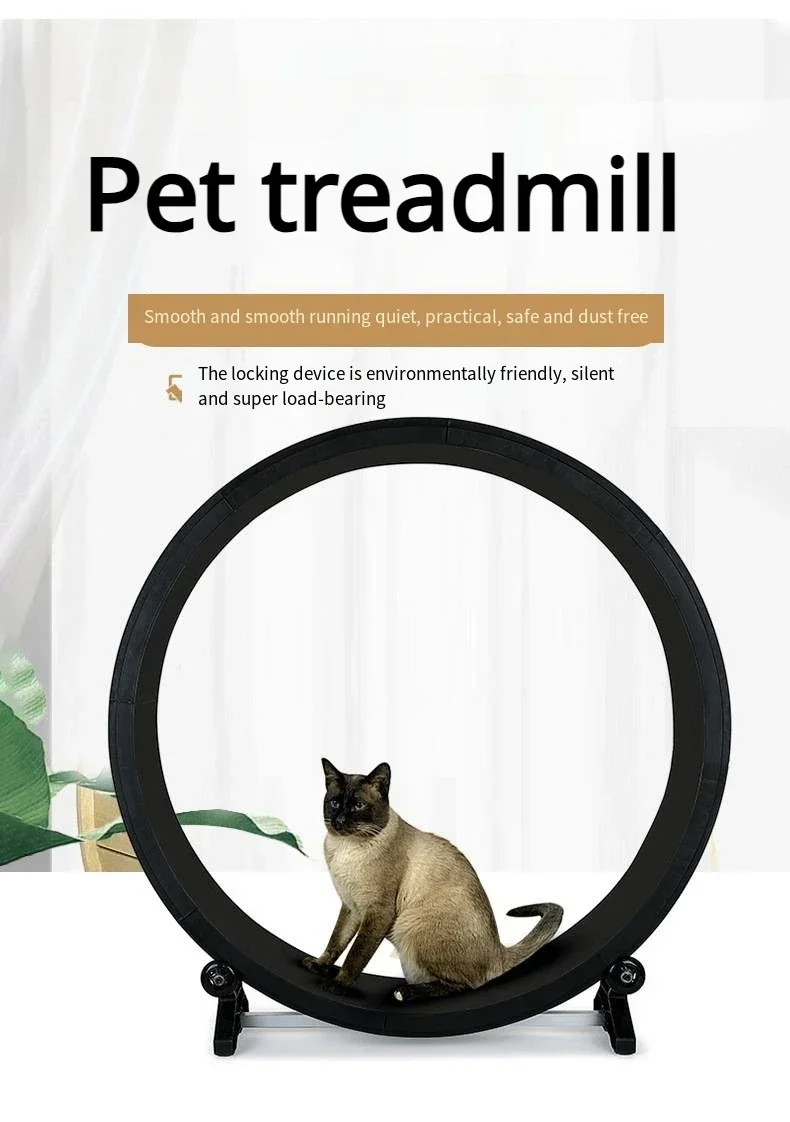 Imagem -03 - Multi Funcional Cat Treadmill Moagem Garra Movimento Silencioso Pet Treadmill Anti Slip Runway Base Estável Maior Maior