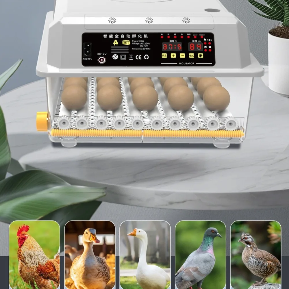 Fully Automatic Intelligent Incubator Household Small Chicken Duck and Goose Breeding Incubators Animal Husbandry Equipment