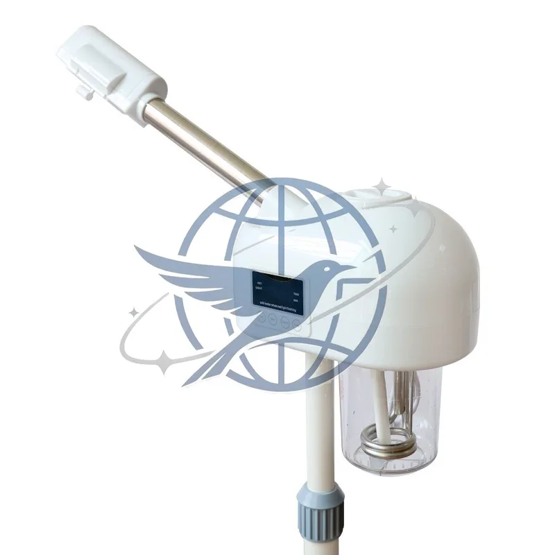 Intelligent upgraded hot spray face steamer beauty spray machine touch screen timing version