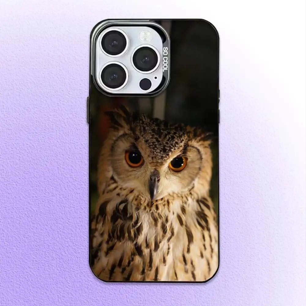 Pet Cute Owl Phone  Phone Case  For iPhone17,16,15,14,13,12,11 Plus,Pro Max Black Candy Matte Shockproof Cover