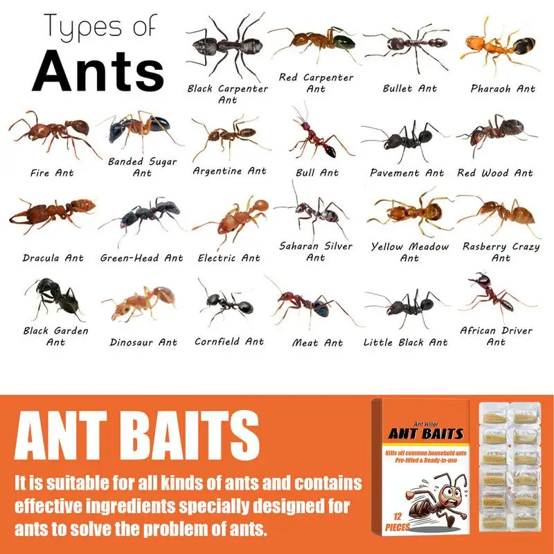 Indoor Ant Traps Multipurpose Household Bait Traps 12PCS User Friendly Children Safe Ant Baits Effective Ant Traps For Garden