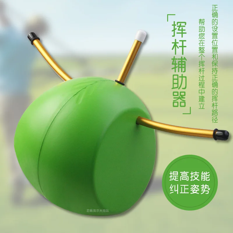 Golf Swing Training Aid, Foam Ball Arm Posture Corrector for Improving Swing Plane, Wrist Position and Body Connection Practice