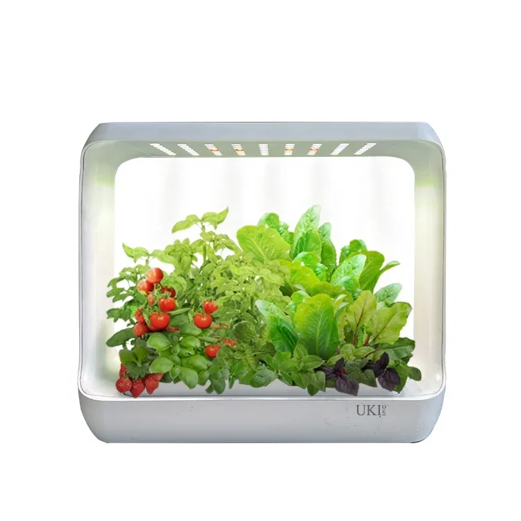 2023 Supplier Home Indoor Hydroponics Systems Indoor Smart Mini Garden With LED