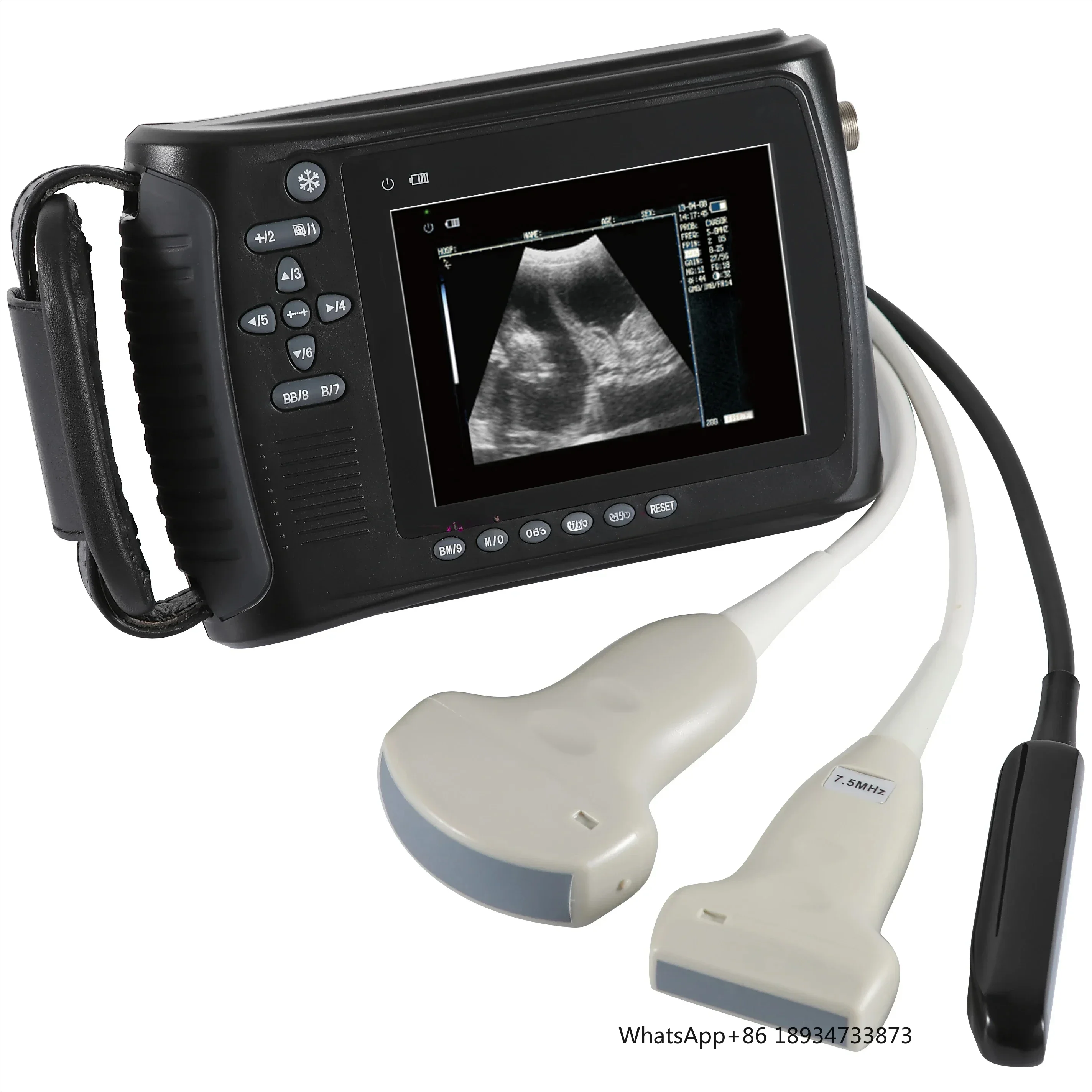 Portable Veterinary Ultrasound Equipment Cow /Horse /Goat /Pig Pregnancy Ultrasound Scanner Echograph Machine