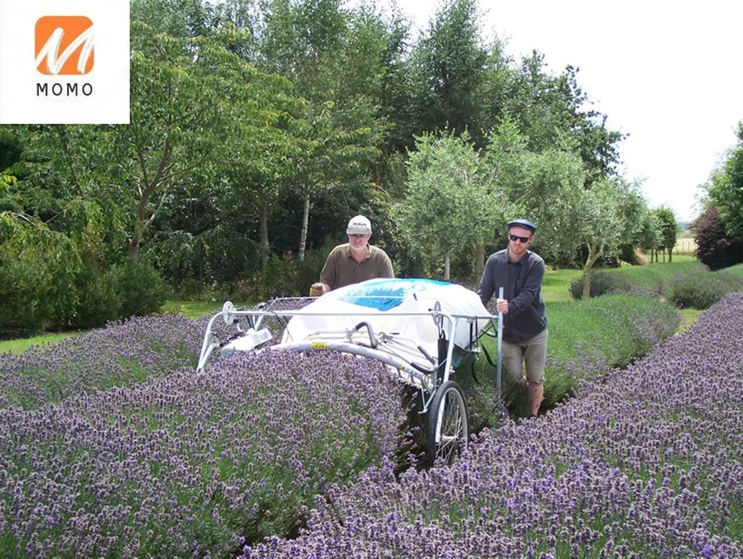 Agricultural Two Men 2-stroke Srilanka Tea Plucking Machine Price Lavender Harvester