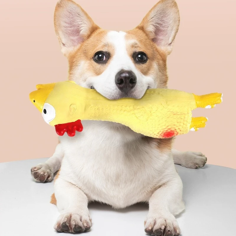 Latex Squeaky Dog Toy Chicken Shape Bite Resistant Molar Chew Toys for Small Medium Dogs Relieve Boredom Puppy Interactive Play