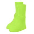 Fluorescent