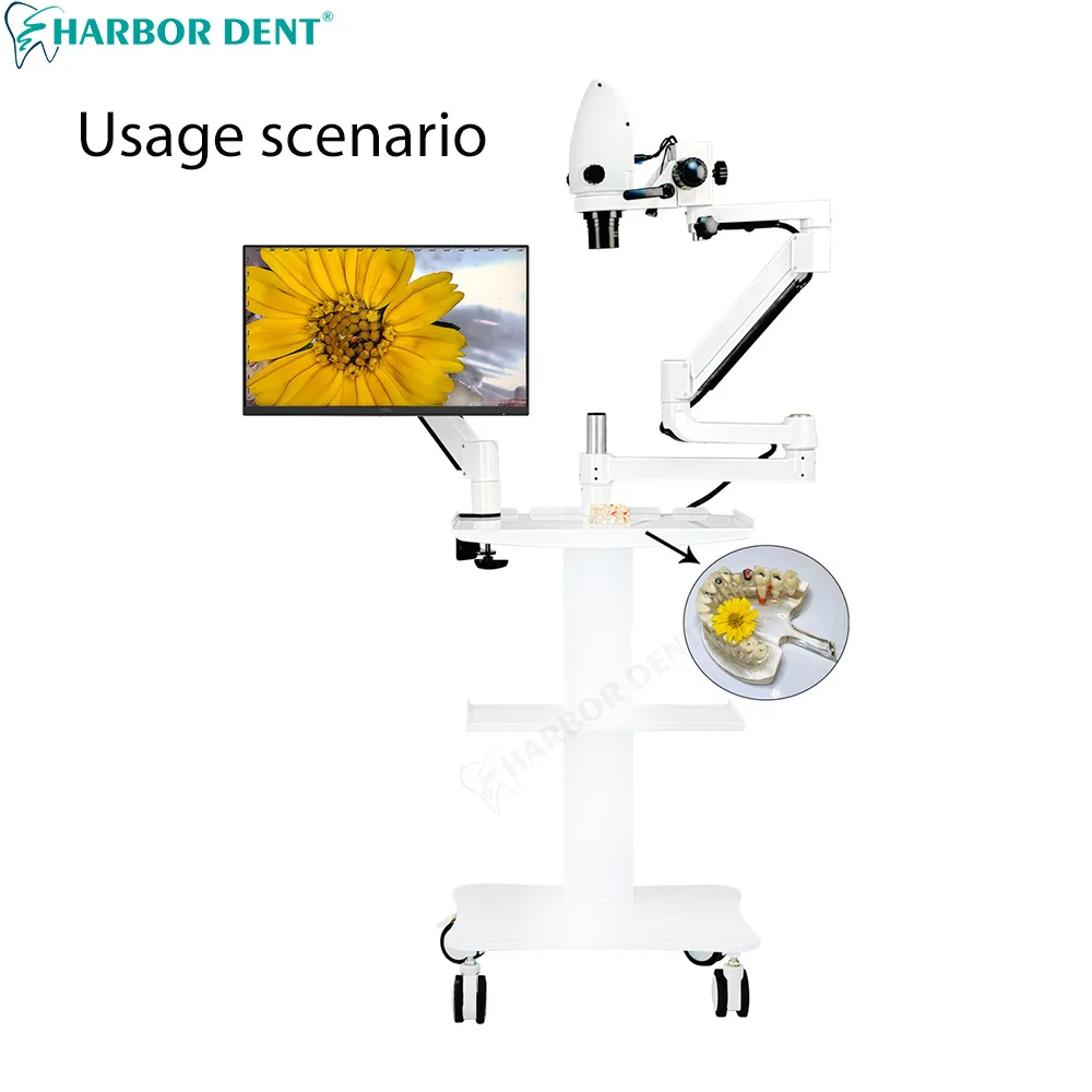 Microscópio de canal radicular dental com câmera 5x-33x zoom contínuo equipamento de odontologia personalização da unidade de cadeira