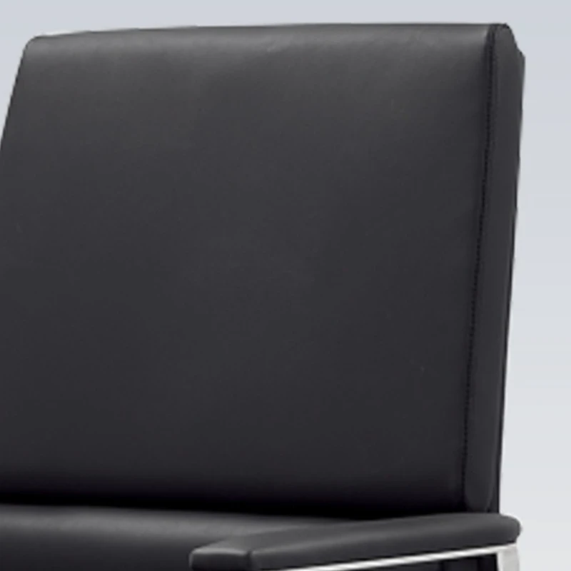 거실 사무실 의자 살롱 호텔 인체공학적 홈스테이 사무실 의자 편안한 휴식 가구 카데이라 LSDNY