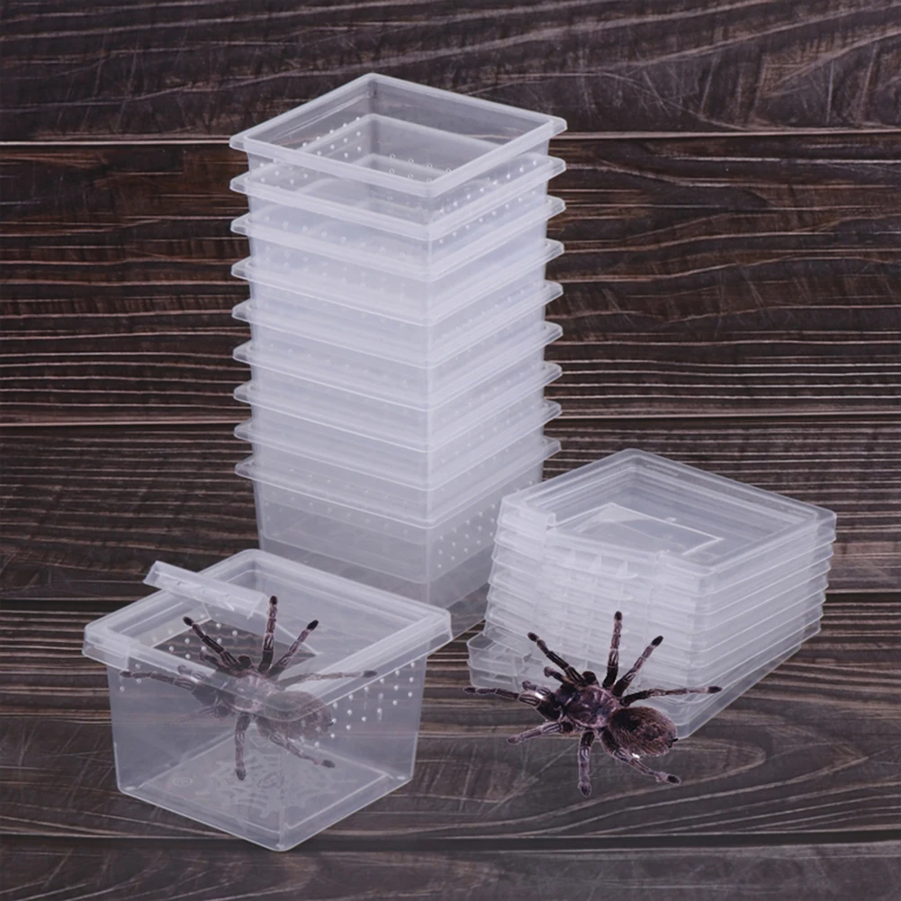 Reptile Breeding Box With Flip Cover Transparent Breathable For Frogs Snake Spider Pet Supplies