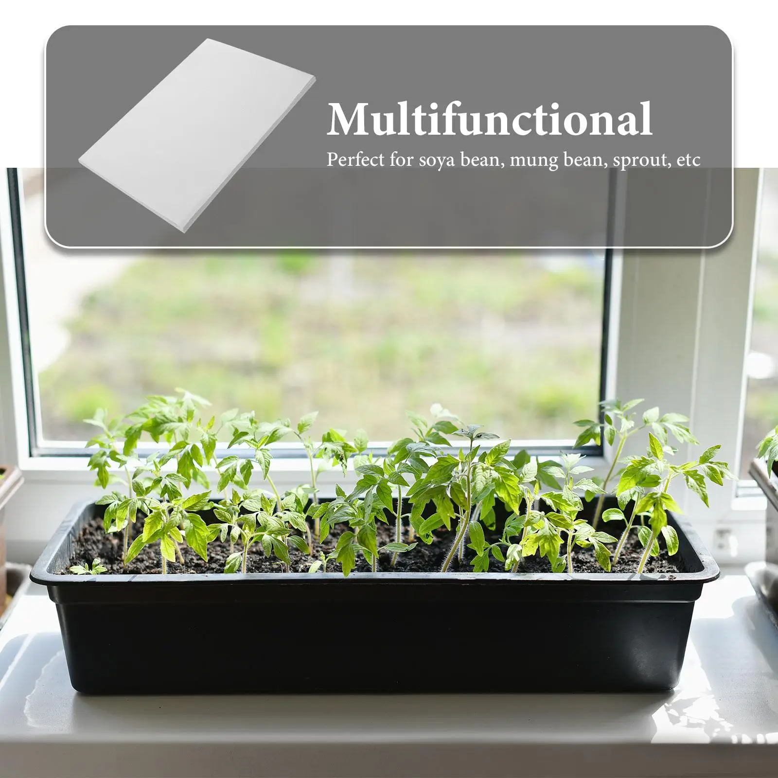 100 قطعة أوراق إنباتية صينية شتلات آمنة ترطيب مانعة للتسرب أوراق زراعة متينة تنبت فول الصويا مونج فول