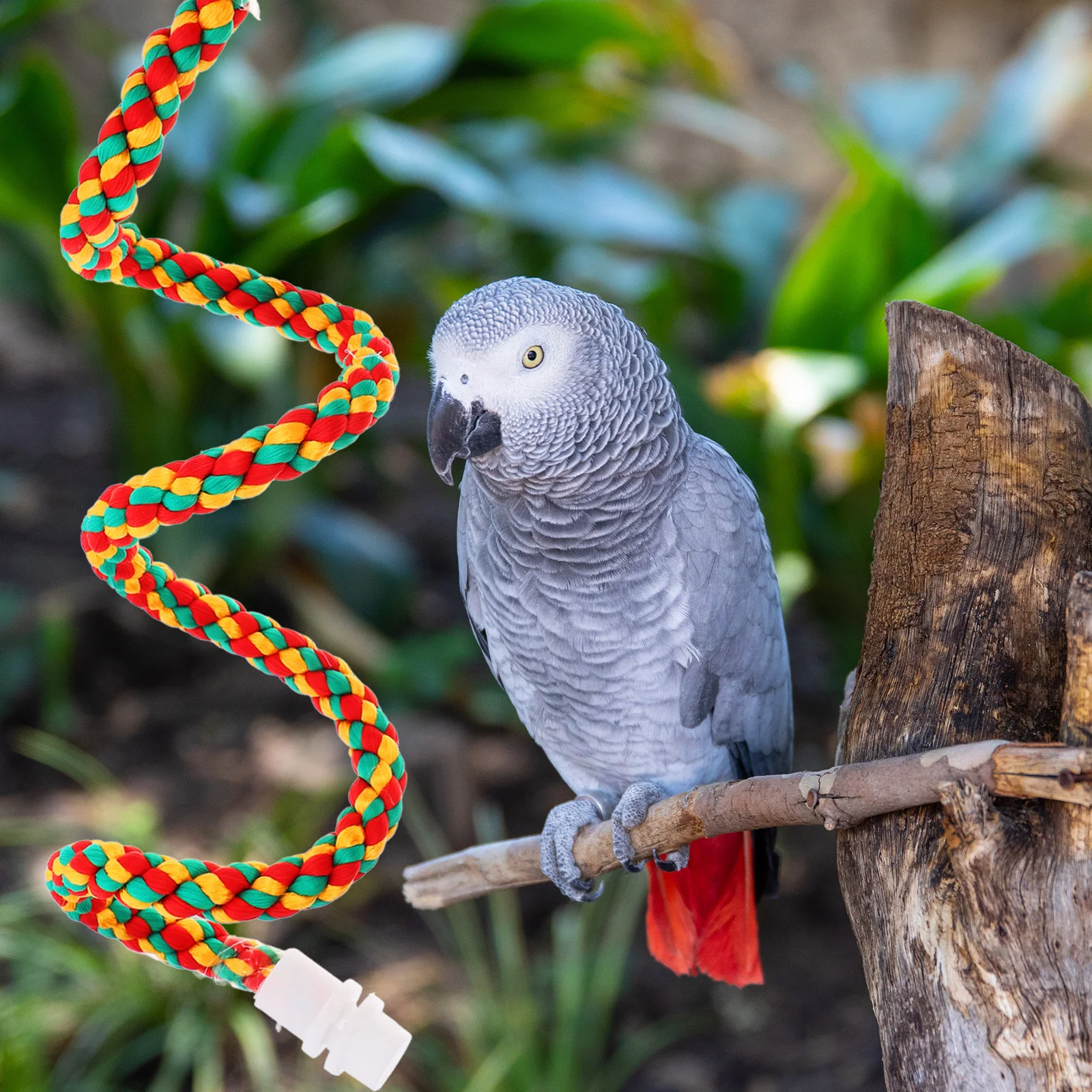 

2Pcs Bird Rope Perch Parrot Stand Bite Resistant Climbing Swing Cage Accessory for Parakeet Budgies Macaw