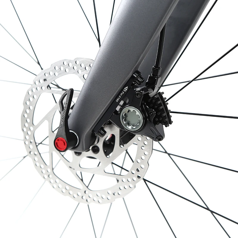R5 700c Carbon Fiber Road Bike with Flat Mount Thru Axle 142m Disc Brake 24 Speed 50mm Carbon Wheels Road Bicycle