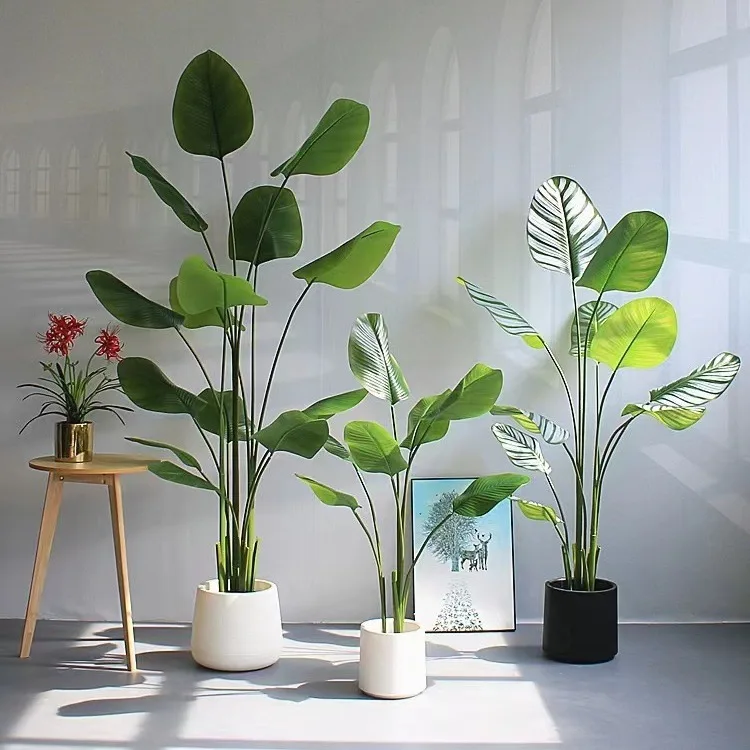 

Simulated green plant cigar arrowroot high-end indoor large landscape