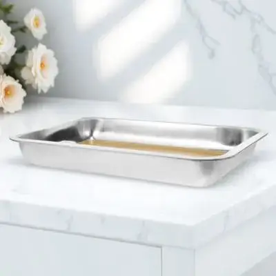 Lab Dissection Tray Stainless Steel Wax Dissecting Plate for Anatomy Study Scientific Research Non-Toxic Material Heavy Duty
