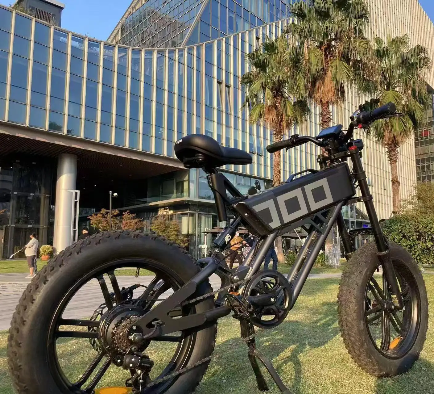 STLF موضة بالجملة الوافدين الجدد 2025 دراجة كهربائية للبالغين V8 V20 H9 750 واط 10000 واط 48 فولت E الدراجة الدهون الإطارات 1000 واط Ebike Cen