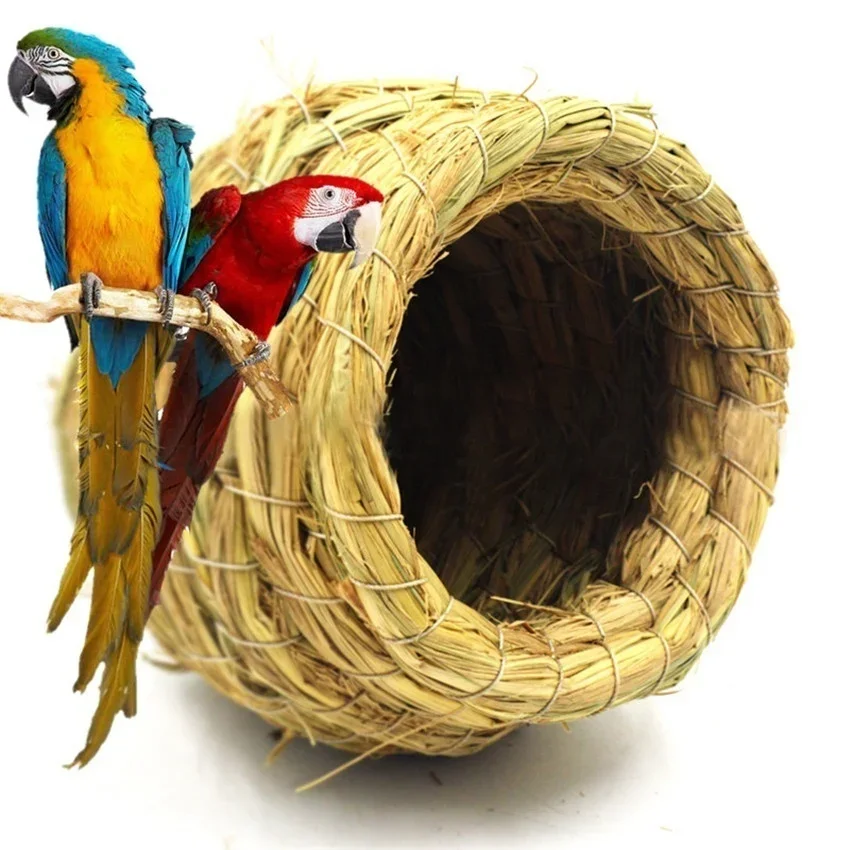 #25 Compare Birdhouses Before You Buy