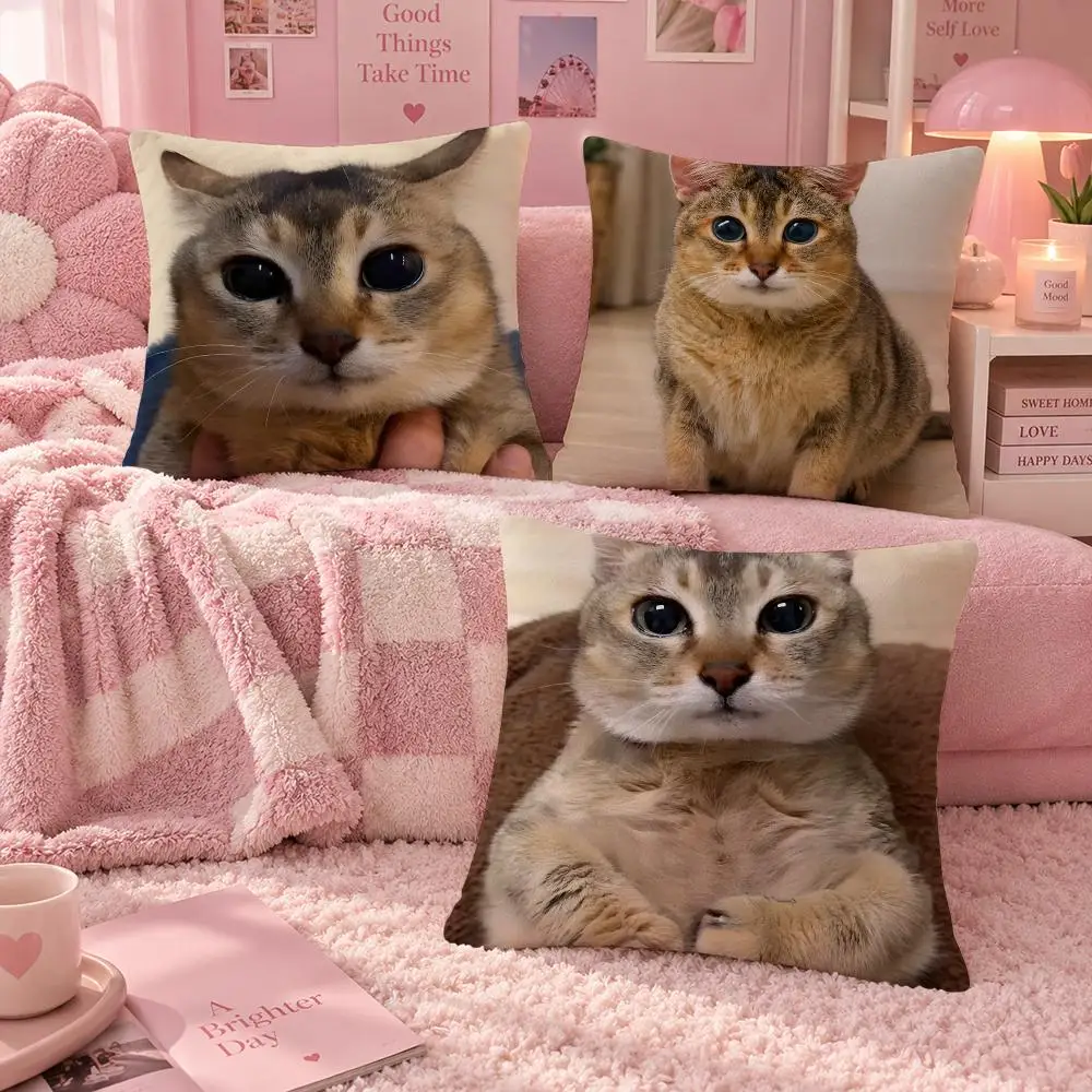 Art Cute Mei Jie Meimei Save Kitty Cushion Cover Soft Throw Pillow Cover Washable Plush Cushion Case for Sofa Bed Living Room