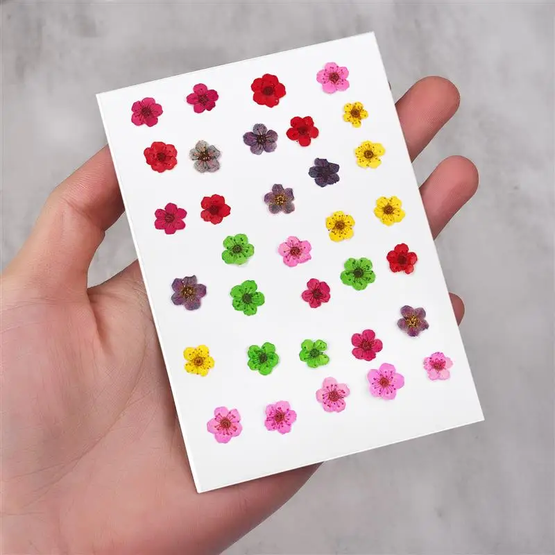 30 Pcs Natural Real Dried Pressed Flowers For Art Craft DIY Epoxy Resin Pendant Soap Craft Jewelry Card Making Dried Flowers Set