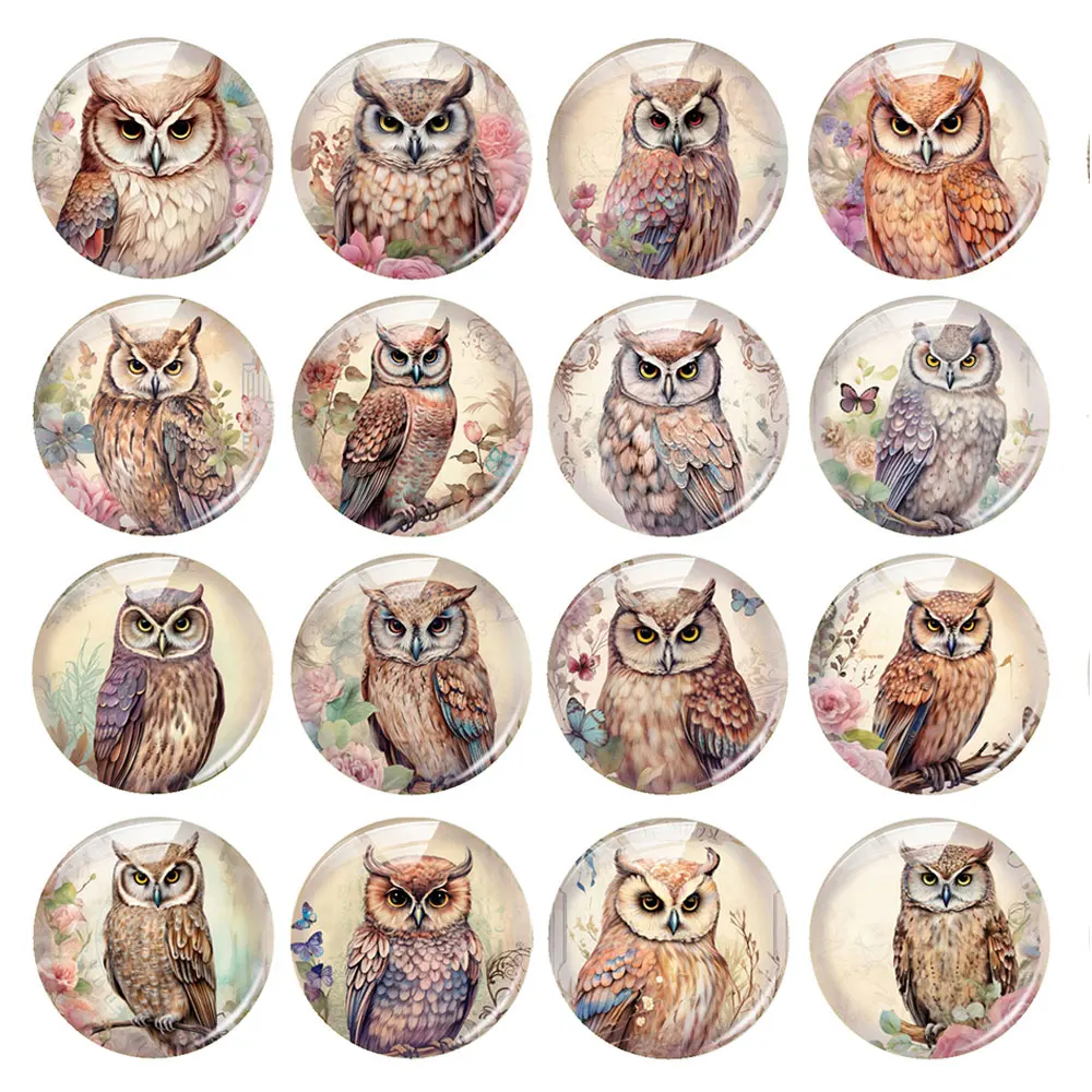 Random Mixed Round/Oval/Square Owls Flower Butterflies Photo Glass Cabochon Flatback Demo Cameo For Diy Jewelry Making Handmade