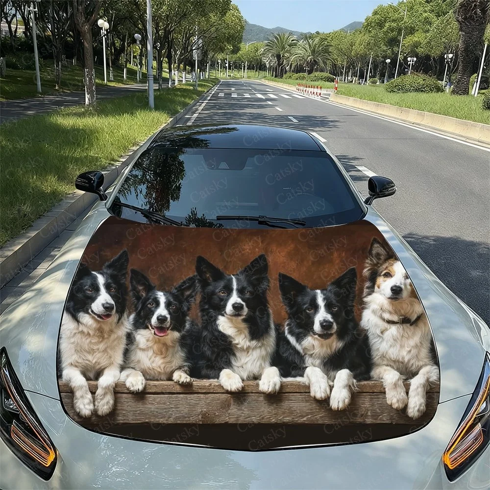 Cute Rottweiler Border Collie Car Hood Sticker PVC Self Waterproof Stick, Striking Auto Exterior Accessories Decor Protect Gift