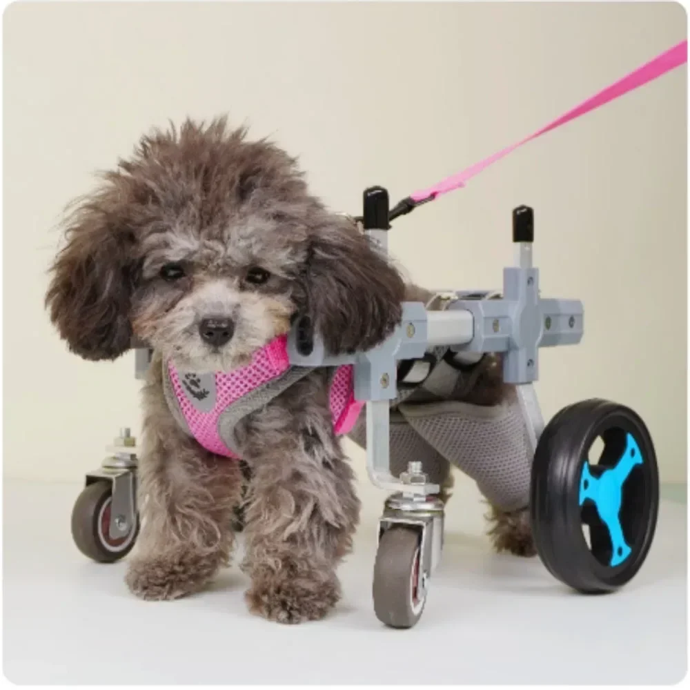 Small and Medium Pet Wheelchair for Dogs, Dog Wheelchair, Light Weight, Metal, Disabled Rehabilitation Assist Cart