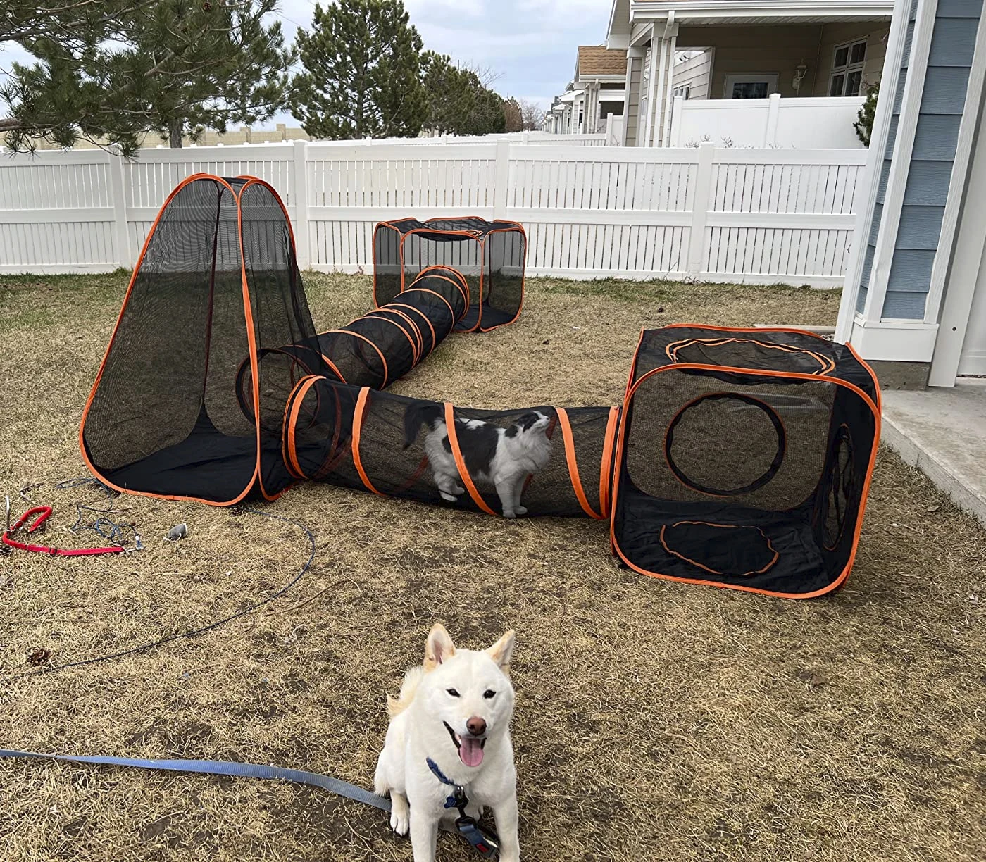 

Foldable Pet Tent 6 In 1 Pet Cat And Dog Tunnel Tent Outdoor Pop Up Pet Playpen Cage Fences