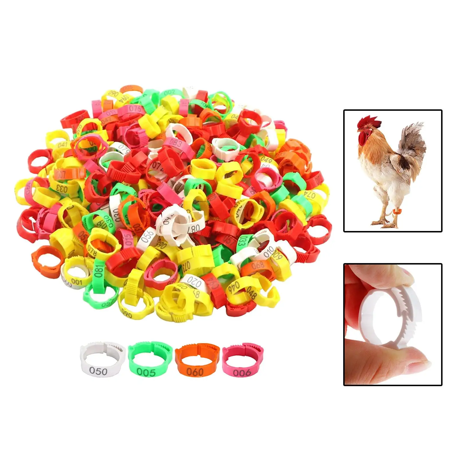 Pack of 100 Chicken Leg Rings Chicken Identification Band with Poultry