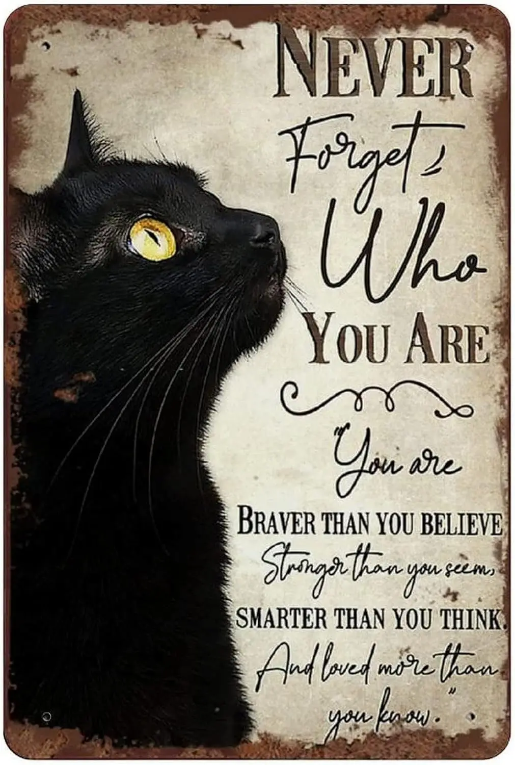 Never Forget Who You are Retro Tin Sign Animal Art Cat Lover Gift Cute Cat Wall Art Home Decor Fun Tin Sign for Man Cave Bar Pub