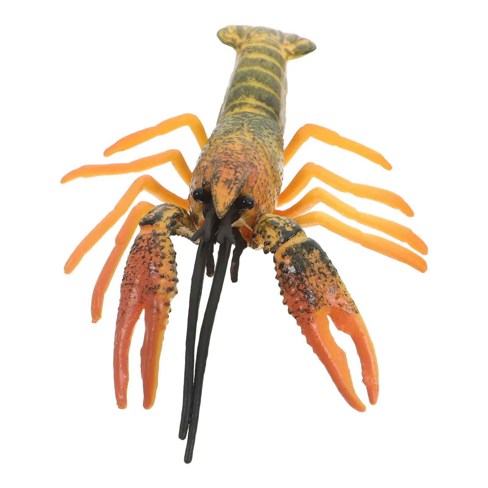 

Lifelike Lobster Display Figure Realistic Simulation Animal Decor for Cognitive Learning Recognition Kids Education Home Office
