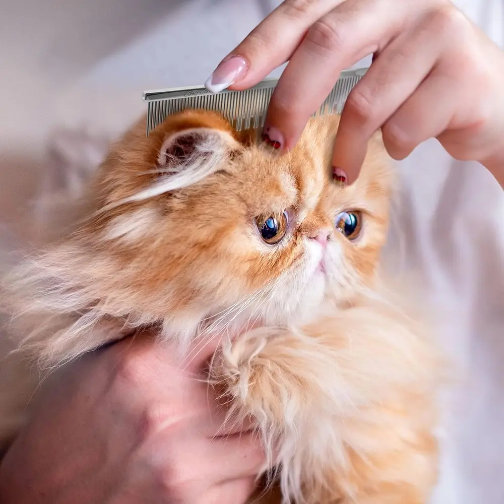 Thumbnail 4 - #48 Best Cat Grooming to Buy In 2026