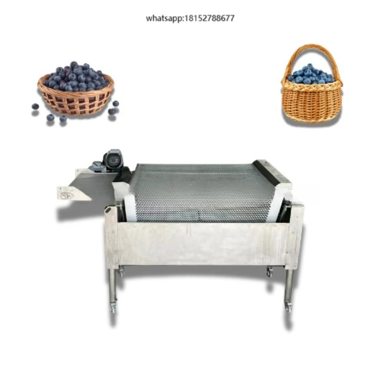 Factory Price 1 Ton/Hour Blueberry Size Grader Cherry Tomatoes Grader for Fresh Fruit Processing Plant