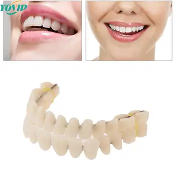 1PC universale Resi denti finti modello in resina protesi durevoli materiale dentale modello di insegnamento dei denti denti dedicati