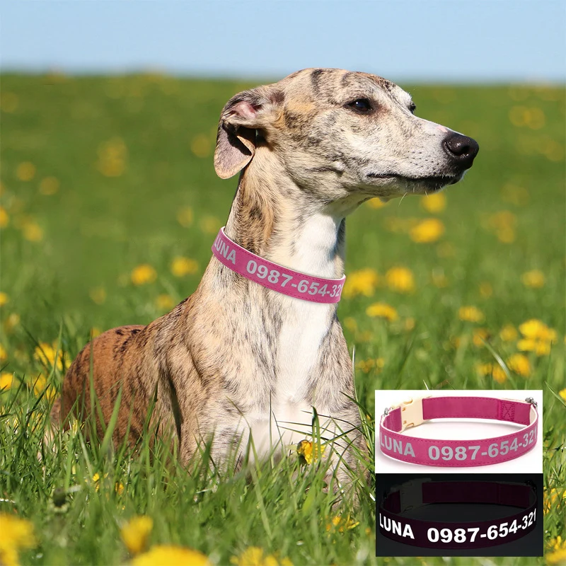 

Reflective Leather Dog Collar with Customized Name & Phone Durable Adjustable Anti-lost Collar for Medium Large Dog Pet Necklace