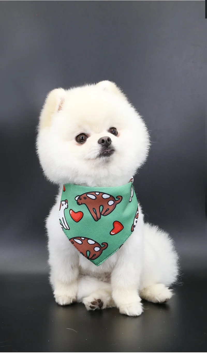 Haustier Speichel Handtuch Anpassung Niedlichen Cartoon Bär Gewebt Hund Katze Kragen Lätzchen Pflege Arc Design Hund Schal für Mädchen Kleine Hunde Katzen – Detail 12