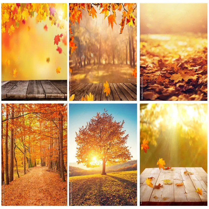 

SHUOZHIKE Natural Scenery Photography Background Fall Leaves Forest Landscape Travel Photo Backdrops Studio Props QQTT-10