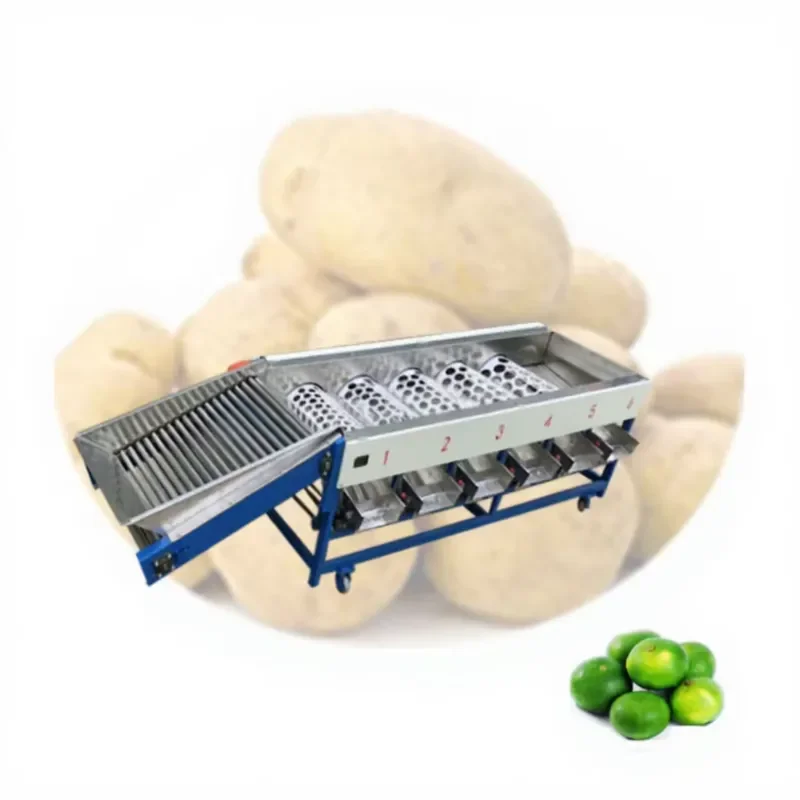 SFW Certificate Automatic Berry Sorter for Blueberry Cherry Olive - Gentle Size and Color Grading Machine for Delicate Fruits