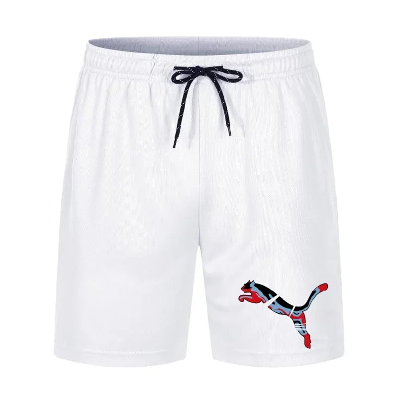 Summer Men's New Style Beach Casual Shorts Comfortable Breathable Quick-Drying Running Loose Sports Surfing Beachwear