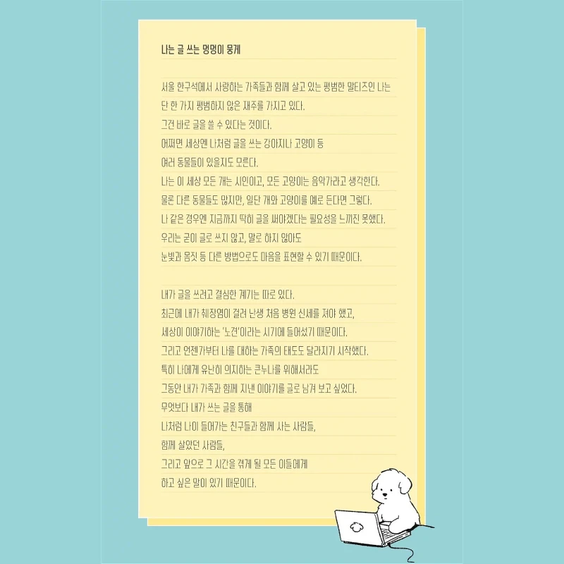 All Dogs Are Writers Korean Version Cute Bichon Frise Art Illustration Hardcover Picture Book