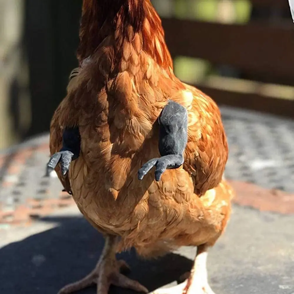 ของเล่นแขนไก่ต่อสู้สุดฮา แขนฮัลค์ยักษ์ แขนกล้ามเนื้อเทียม ของเล่นแปลกใหม่ แขนไก่เทียม สำหรับงานปาร์ตี้ธีมสัตว์เลี้ยง