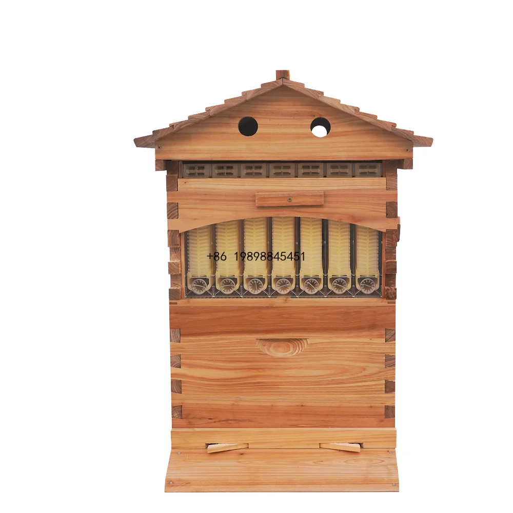 Honey Bee Hives Wholesale Full Set Atuo Flowing Beekeeping 7 Frames Bee Hives Honey Flow Automatic