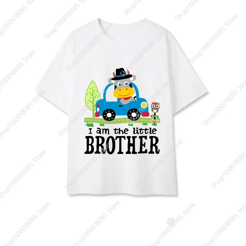 

1 Kid's LITTLE BROTHER Design Tops Girls Promoted To Be Lil Bro Tshirt Cartoon Boy Clothes World's Best Bro Children's Shirt